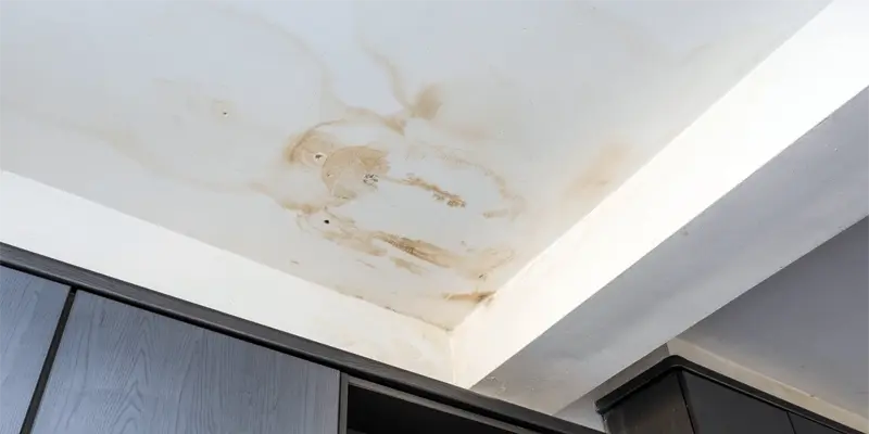 Professional Way of Water Damage Repair
